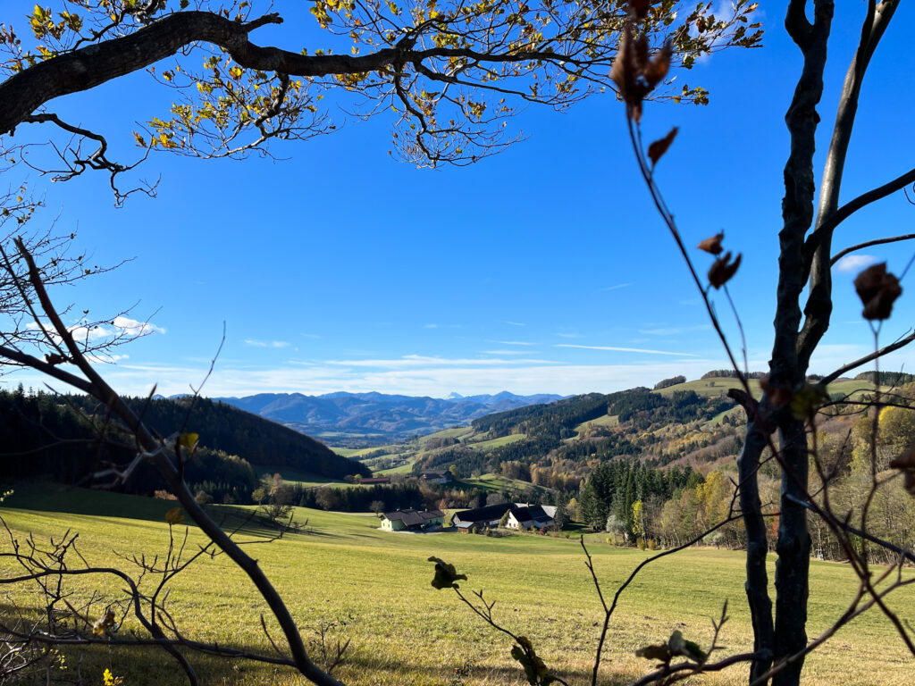 Wienerwald im Herbst (c) Sebastian Howorka