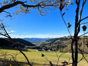 Wienerwald im Herbst (c) Sebastian Howorka
