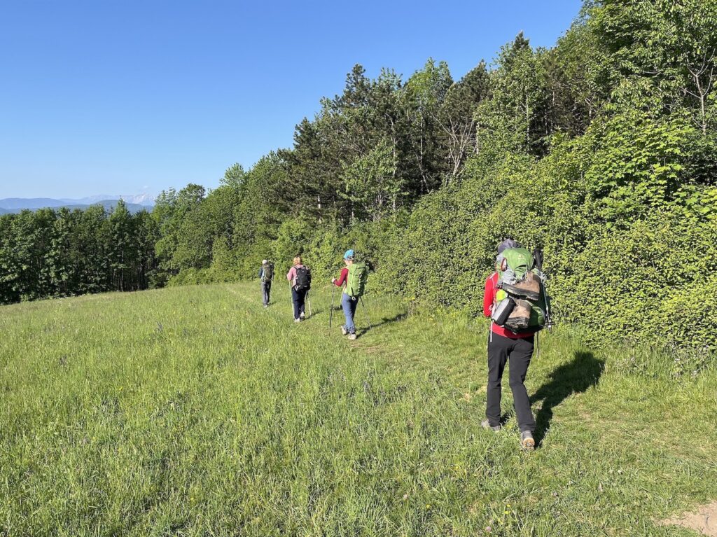 AchtsamesWeitwandern (c) Andi Novak