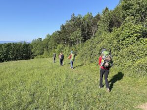 AchtsamesWeitwandern (c) Andi Novak