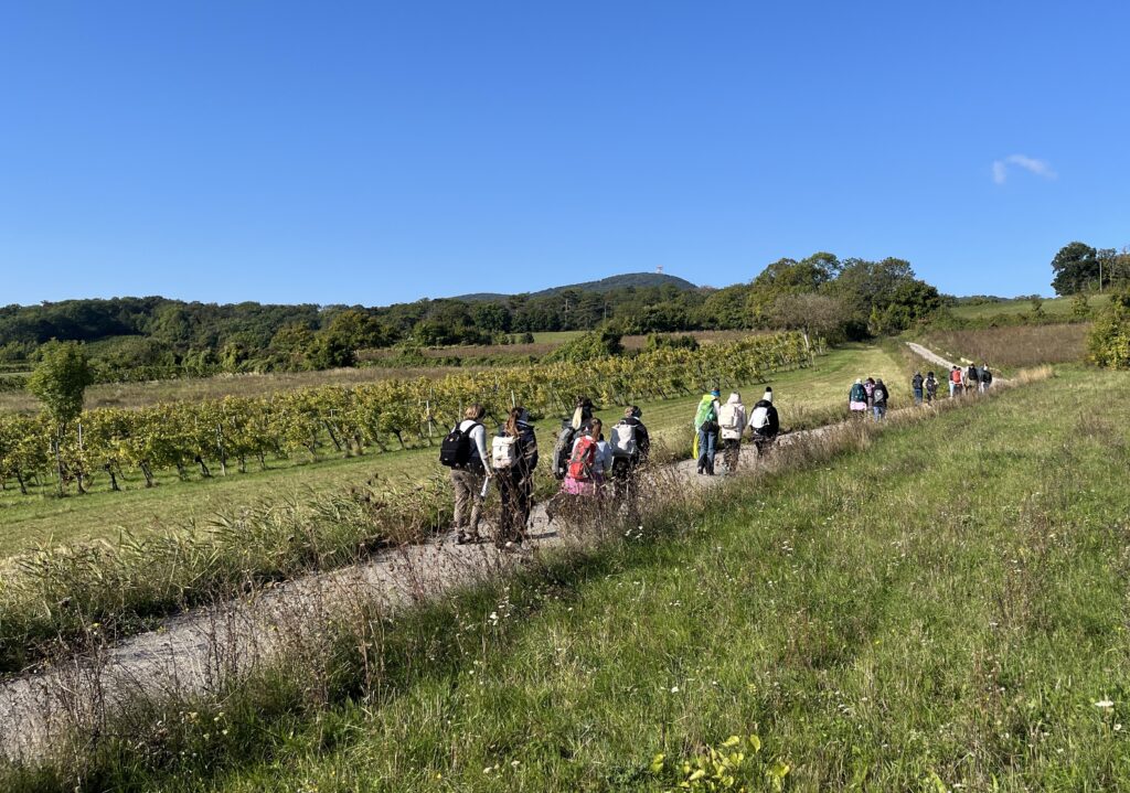 Thallern (c) Sebastian Howorka