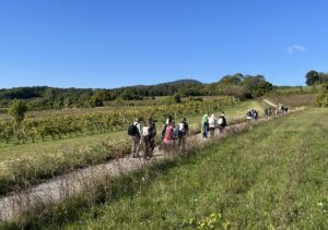 Thallern (c) Sebastian Howorka